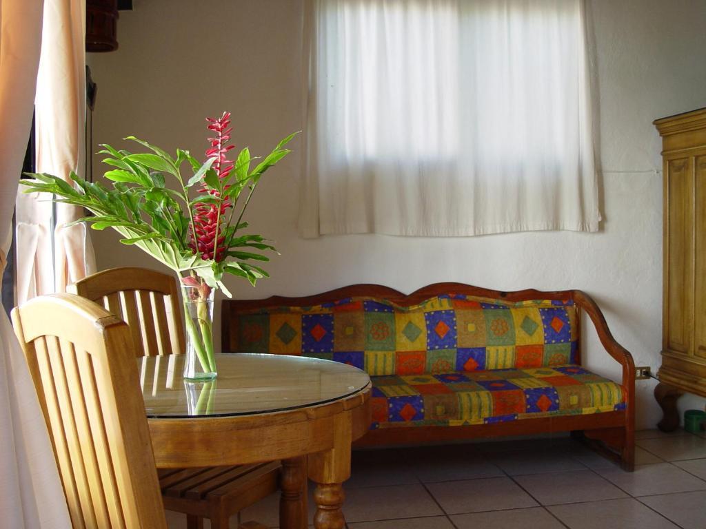 La Terraza Inn Puerto Vallarta Cameră foto